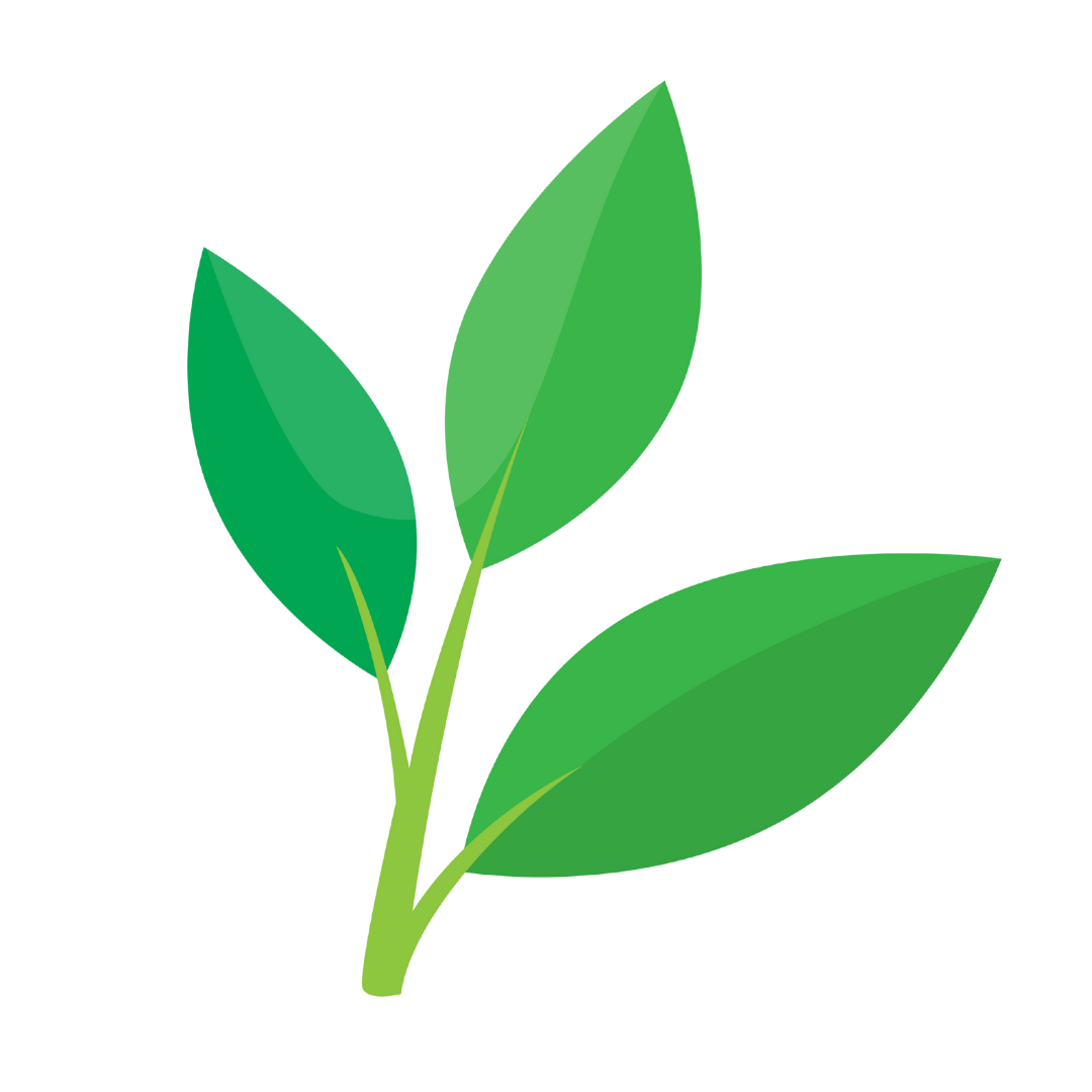 Collaborative Action & Engagement