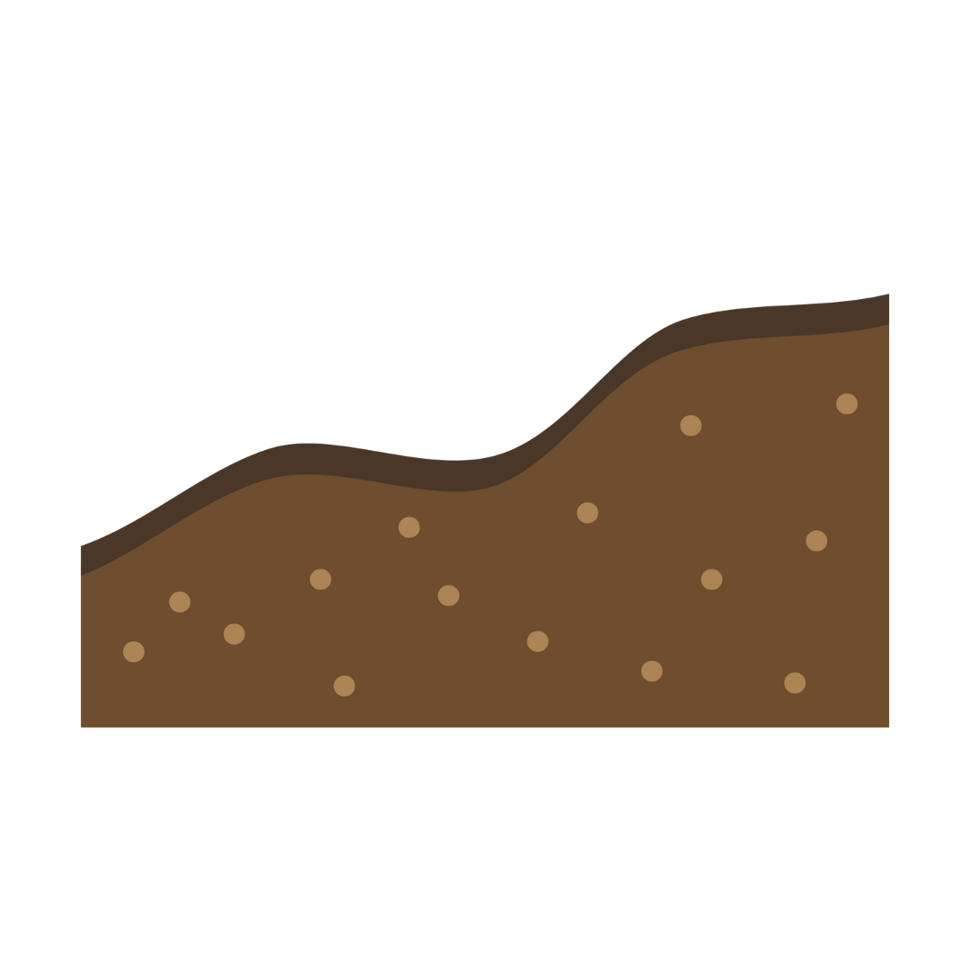 Resilience & Sustainability