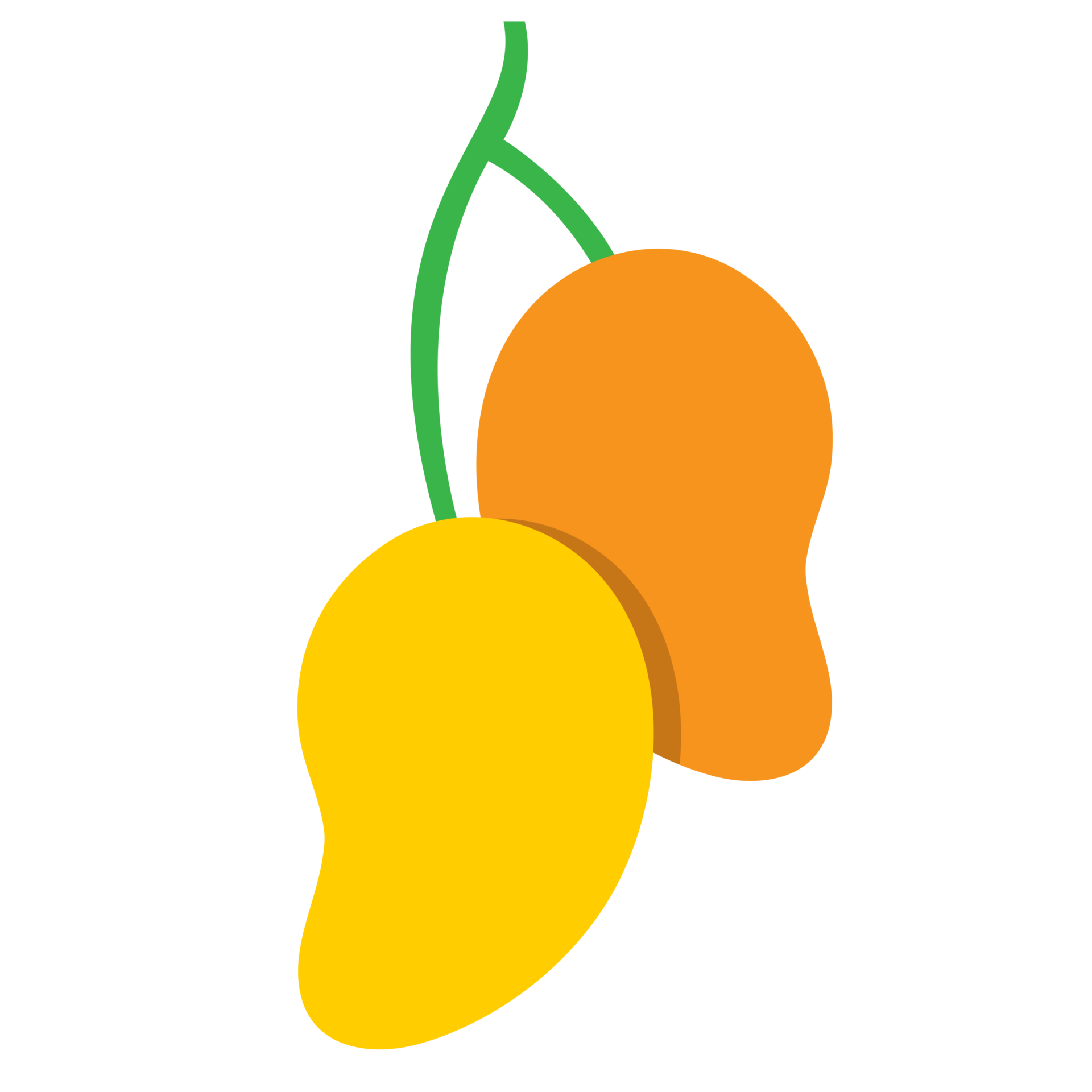 FRUIT: Resilience & Sustainability Health Framework