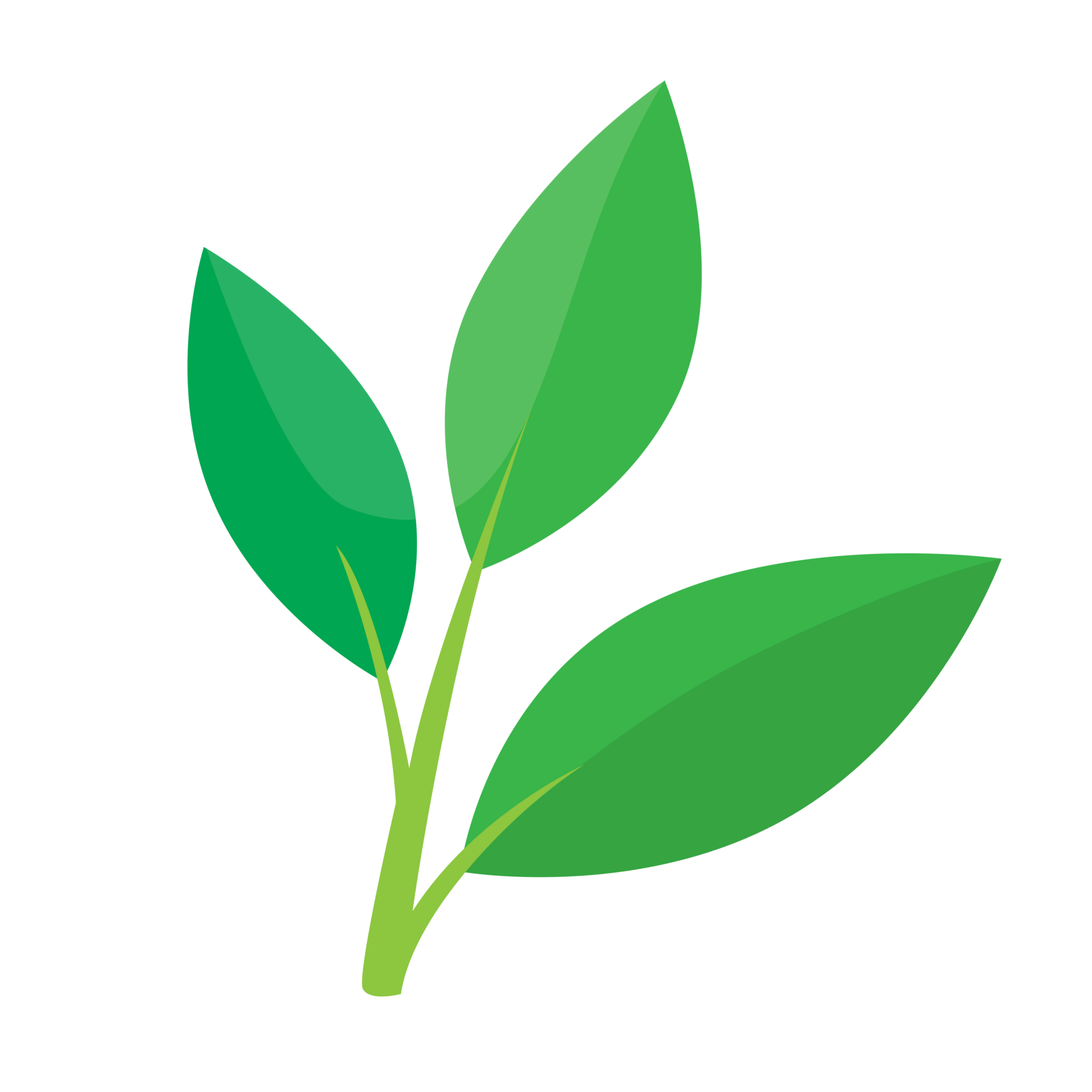 LEAVES: Integration & Impact Health Framework